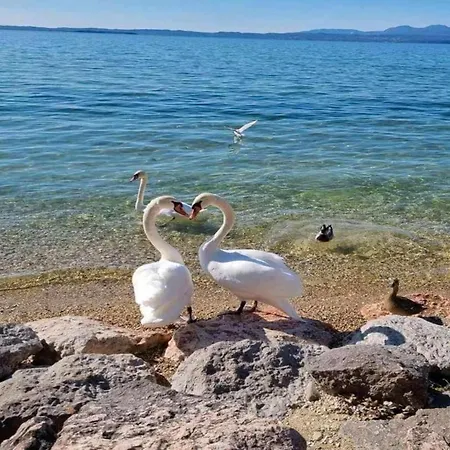 Lakeview In * Lazise
